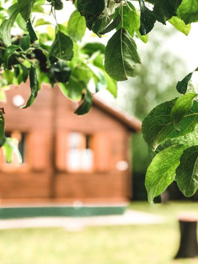 Lake House Farsang Balatonbereny Exterior photo